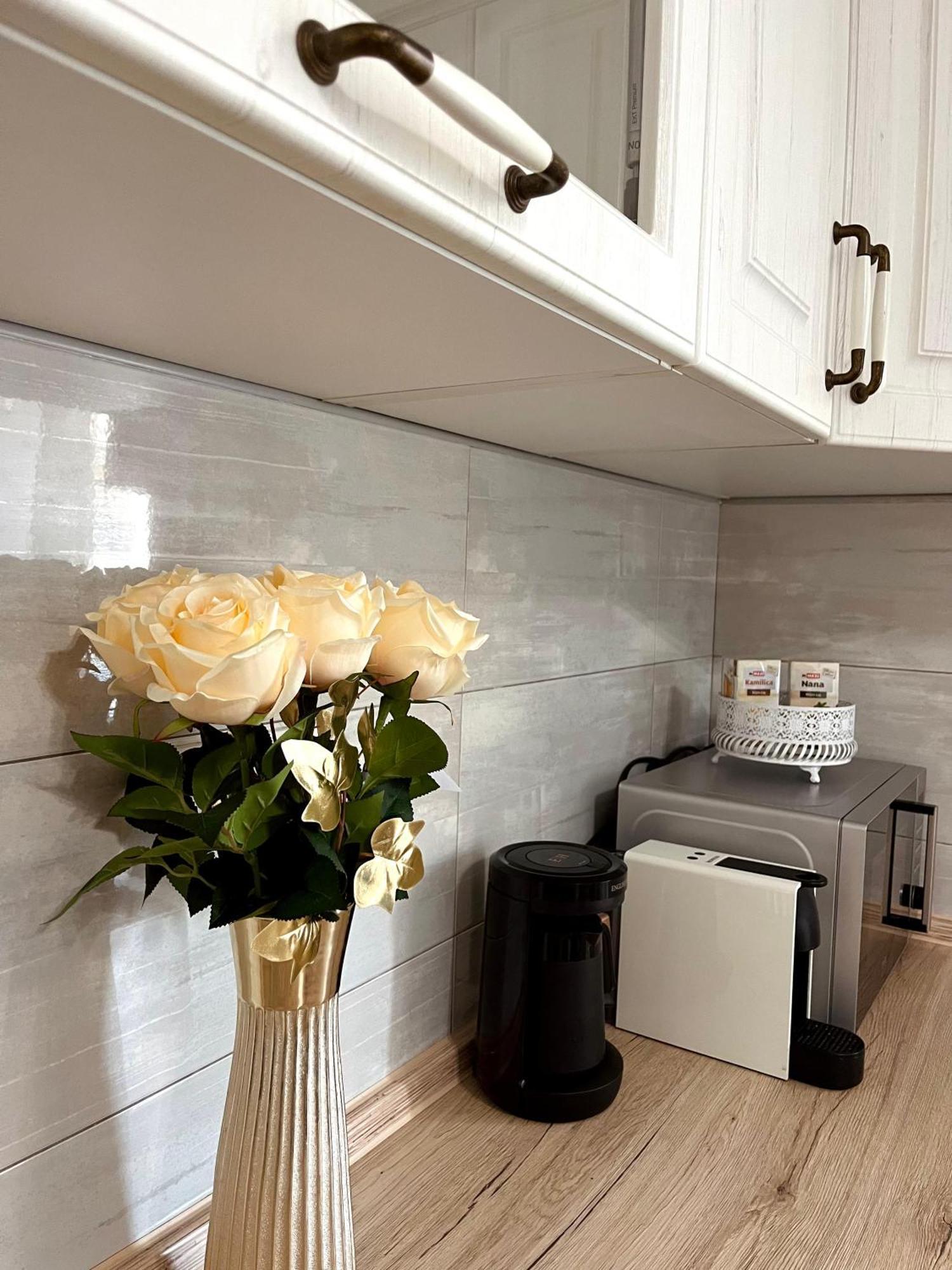 Lumo Apartment Nis Bagian luar foto
